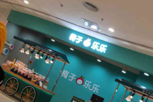 梅子乐乐零食加盟费多少钱?全面解析加盟条件与费用