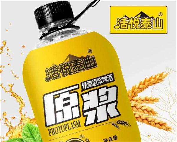 泰山精酿啤酒加盟电话多少？揭秘加盟流程与市场前景