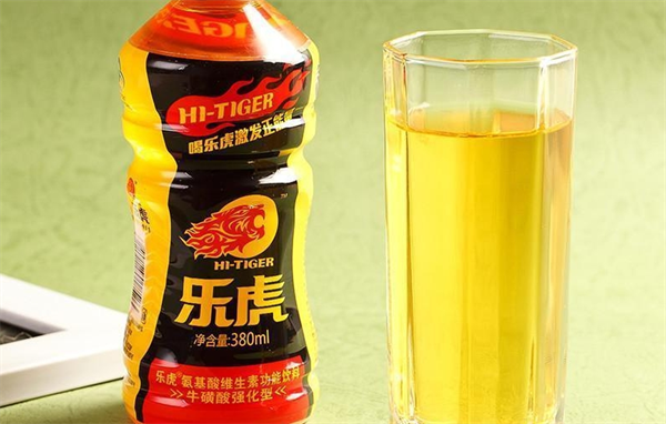 加盟乐虎功能饮料多少钱？揭秘投资成本与回报的关键！