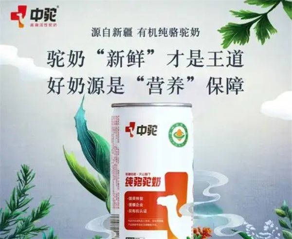 加盟中驼骆驼奶粉赚钱吗？揭秘加盟中驼骆驼奶的赚钱之道