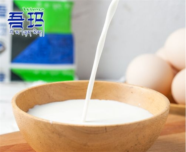 吾玛牛奶加盟条件是什么？探究加盟条件，开启健康饮品市场的入场券