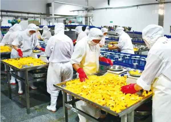 汇林食品加盟费多少钱？详细解析帮你算清创业账本