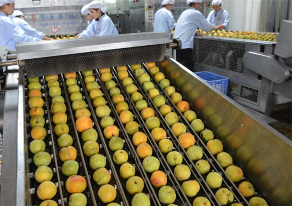 加盟汇林食品怎么样？创业者必看的深度解析