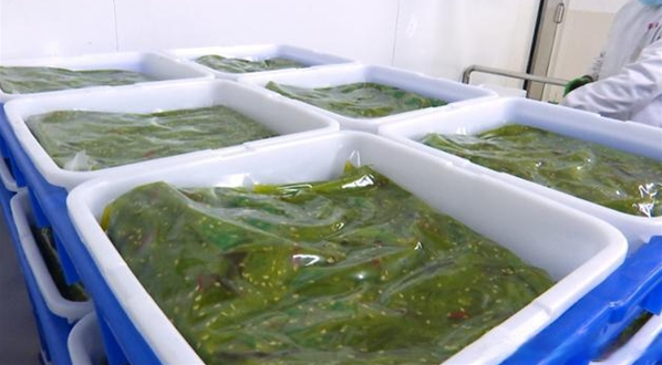 青正食品加盟电话号码多少？拨打这个电话号码获取更多信息！