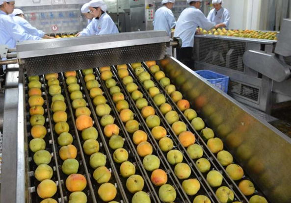 加盟汇林食品怎么样？深度解析创业机会与成功案例