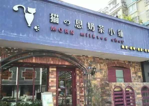 加盟猫恩奶茶小铺赚钱吗？揭秘奶茶加盟的高回报