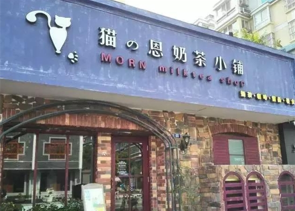 猫恩奶茶小铺加盟费多少钱？揭秘奶茶加盟的费用与回报